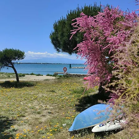 T2 Avec Balcon Vue Port Et Acces Piscine