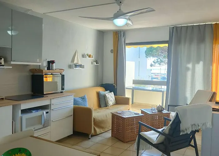 Appartement T2 Avec Balcon Vue Port Et Acces Piscine - Fr-1-195-116 Le Barcarès