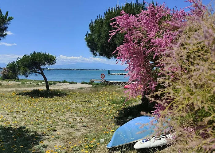 T2 Avec Balcon Vue Port Et Acces Piscine - Fr-1-195-116