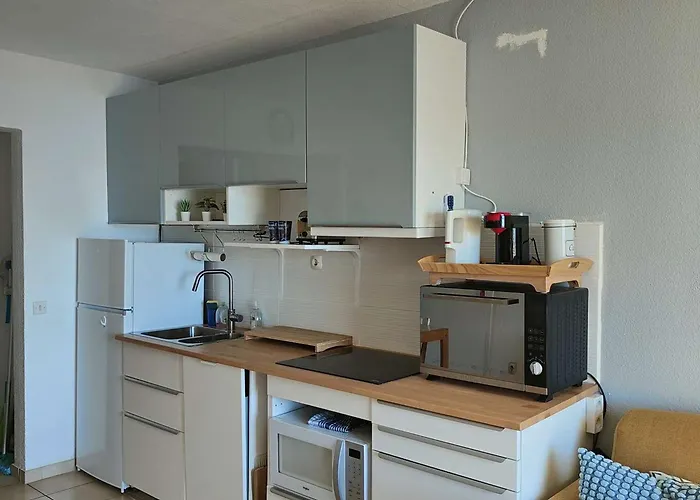Appartement T2 Avec Balcon Vue Port Et Acces Piscine - Fr-1-195-116 *